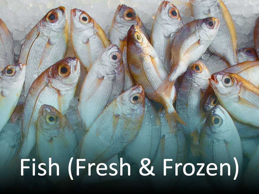 Fish (Fresh & Frozen)